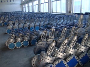 江蘇鎮(zhèn)江鑄造閥門 立足閥門做大閥門產業(yè)